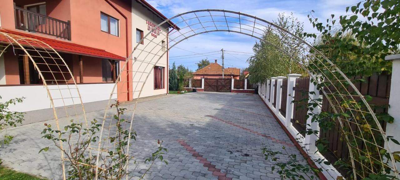 Pensiunea Dara Rîşnov Exteriér fotografie