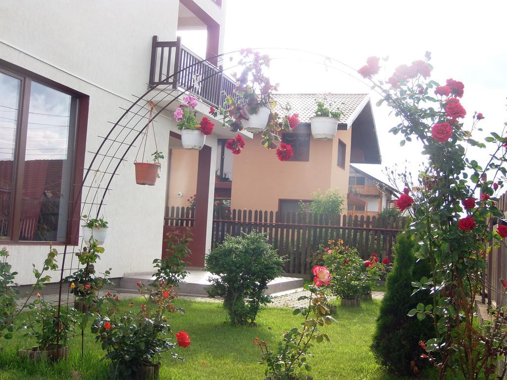 Pensiunea Dara Rîşnov Exteriér fotografie