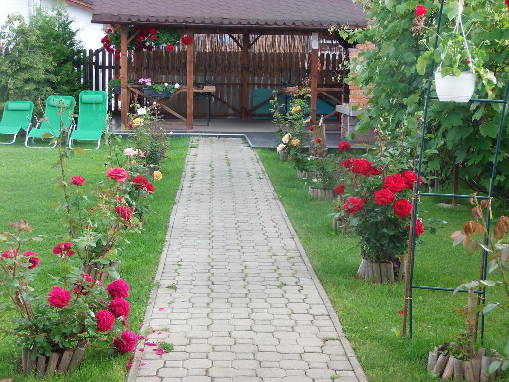 Pensiunea Dara Rîşnov Exteriér fotografie